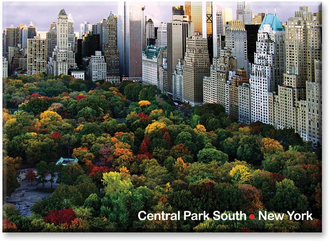 NY Poster Inc Central Park South Panorama โ New York City Photo Souvenir Refrigerator Magnet โ NYC Fridge Cool Magnet โ New York Landmarks Keepsake Collectible Gift Magnets