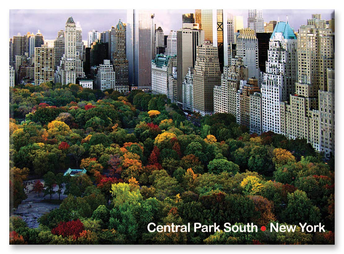 NY Poster Inc Central Park South Panorama – New York City Photo Souvenir Refrigerator Magnet – NYC Fridge Cool Magnet – New York Landmarks Keepsake Collectible Gift Magnets