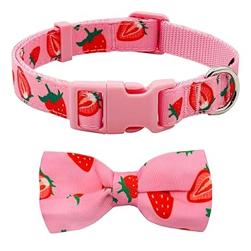 azuza Bowtie Dog Collar, Stylish and Comfy Dog Collar with Bow Tie for Small Dogs, Cute Fruit Patterns