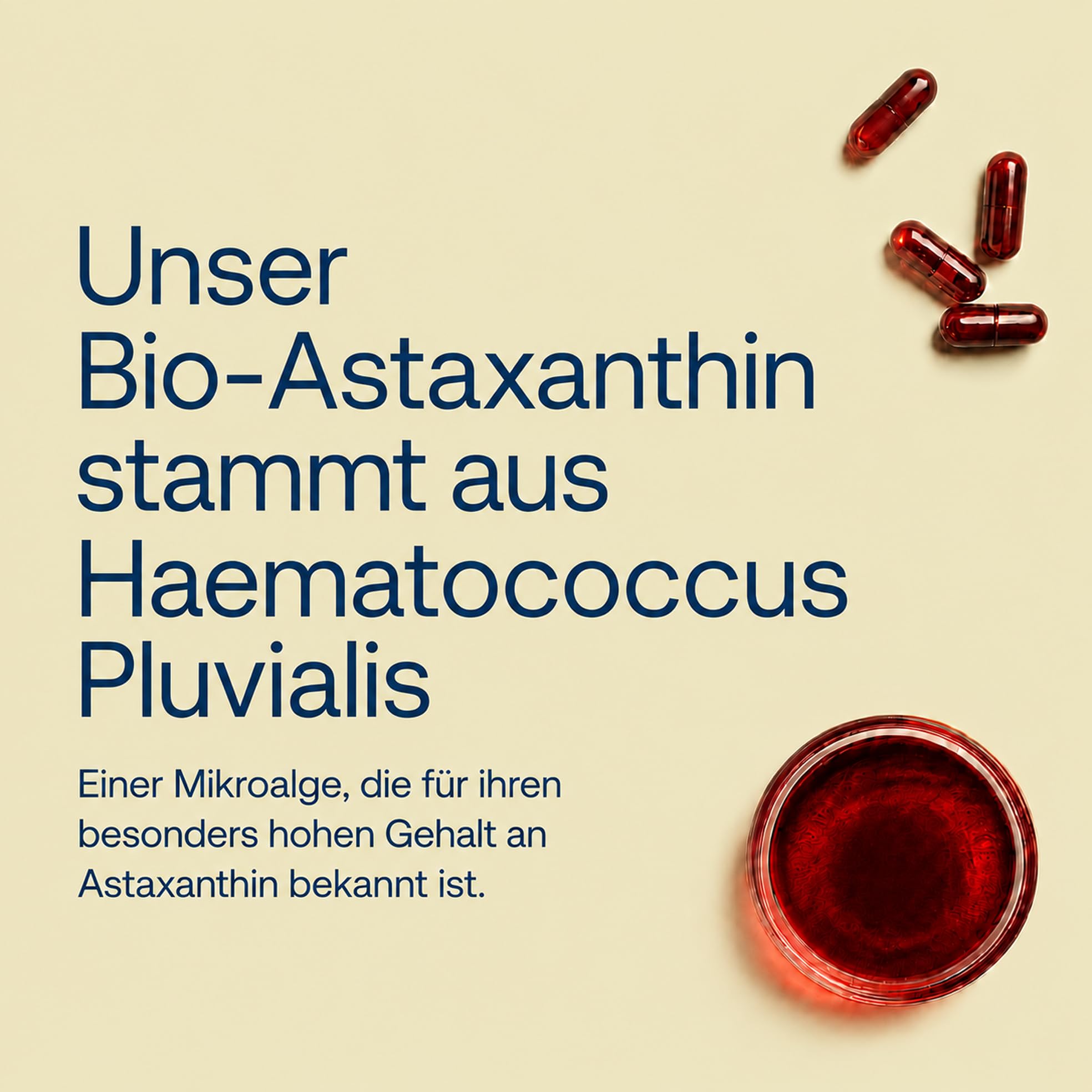 Effective Nature Bio Astaxanthin 8 mg pro Kapsel – aus der Grünalge Haematococcus pluvialis – mit Bio-Olivenöl - vegan