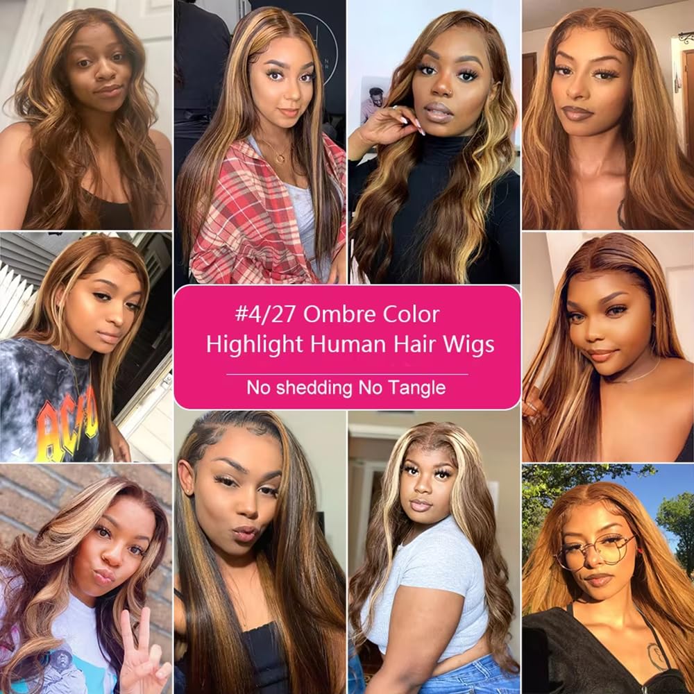 Ombre Lace Front Wig Human Hair 22inch Highlight 13x4 HD Straight Lace Front Wigs Human Hair 200% Density 4/27 Colored Honey Blonde Wig Human Hair Glueless Pre Plucked with Baby Hair