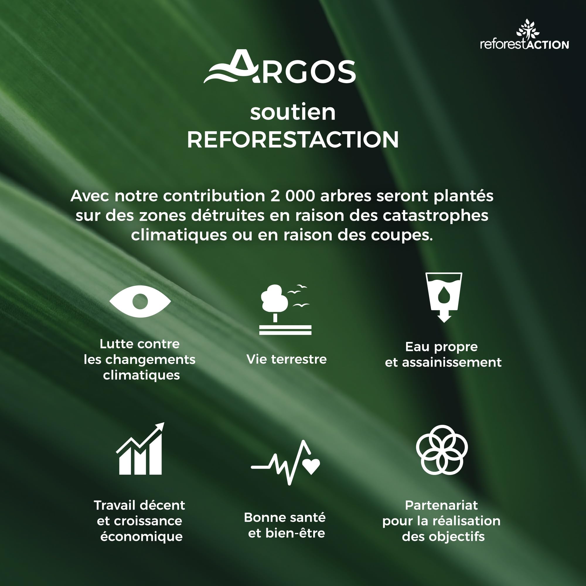 ARGOS - Bobine chamois - Cellulose recyclée - Absorption optimal - Pré découpé - Ecolabel - Fabrication française - 2 Bobines