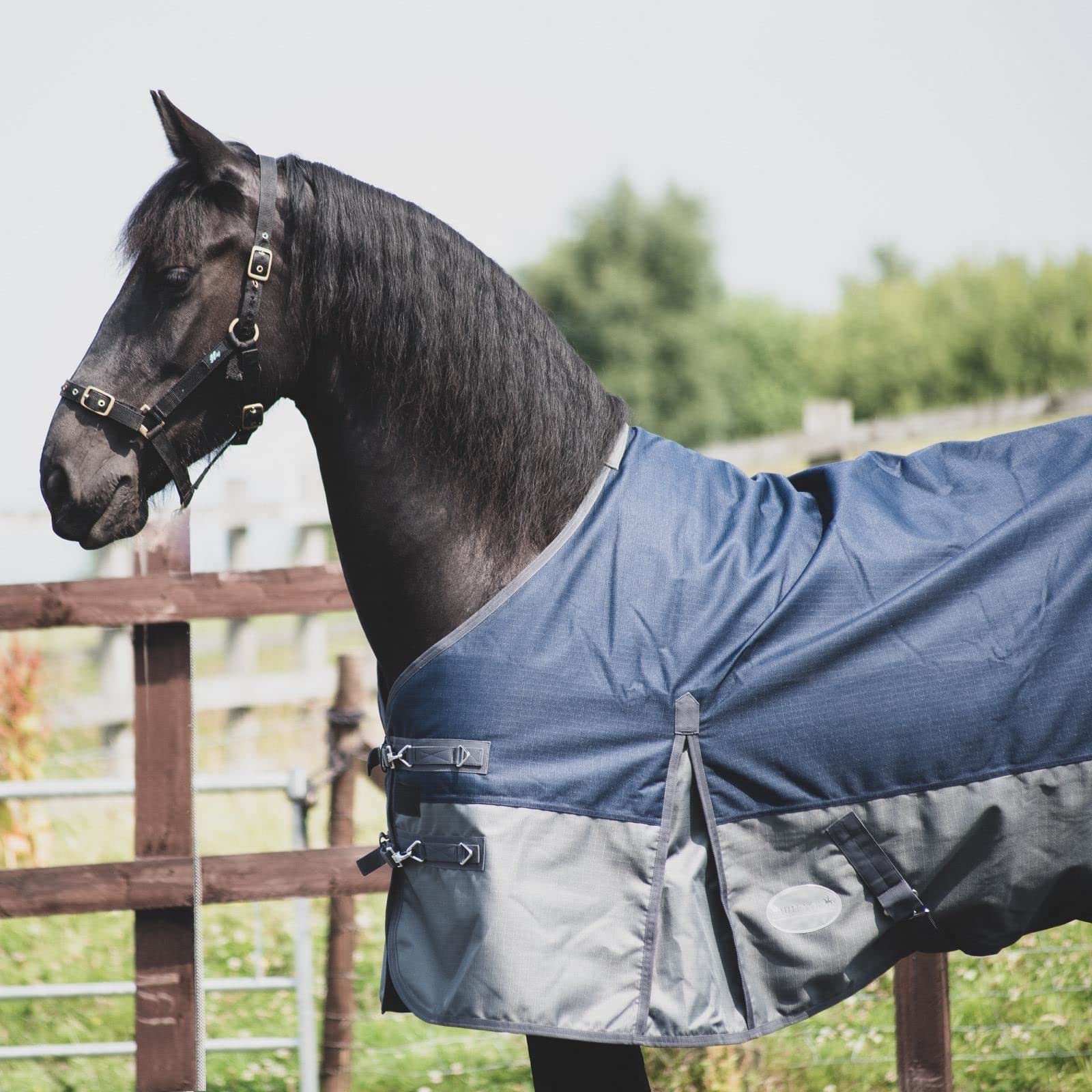 Equitack 1200D Winterdecke Pferdedecke, 145cm | 100g Regular Regendecke Pferd mit Fleece | wasserdichte Outdoordecke Pferd | Navy/Grau