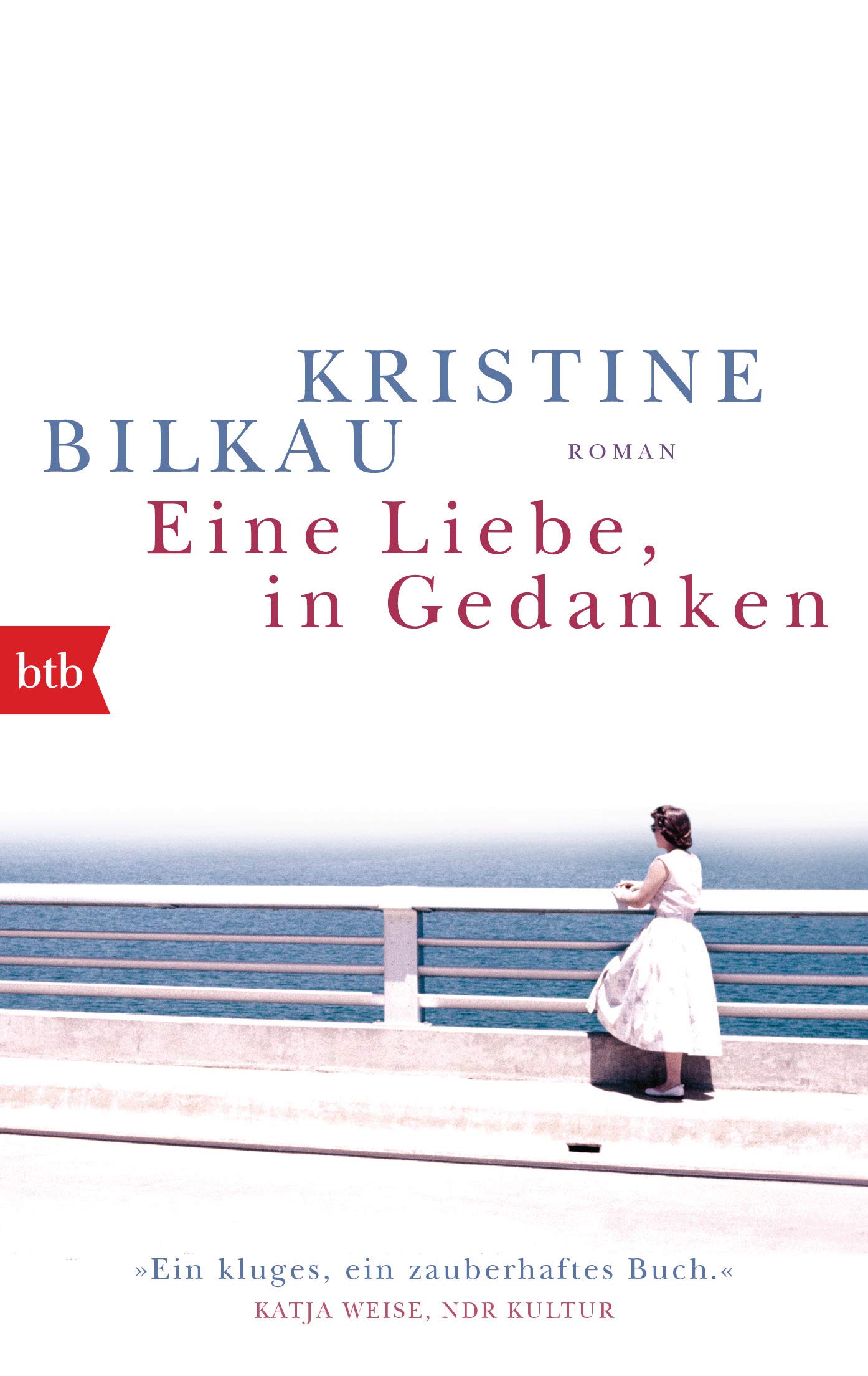 Eine Liebe, in Gedanken: Roman