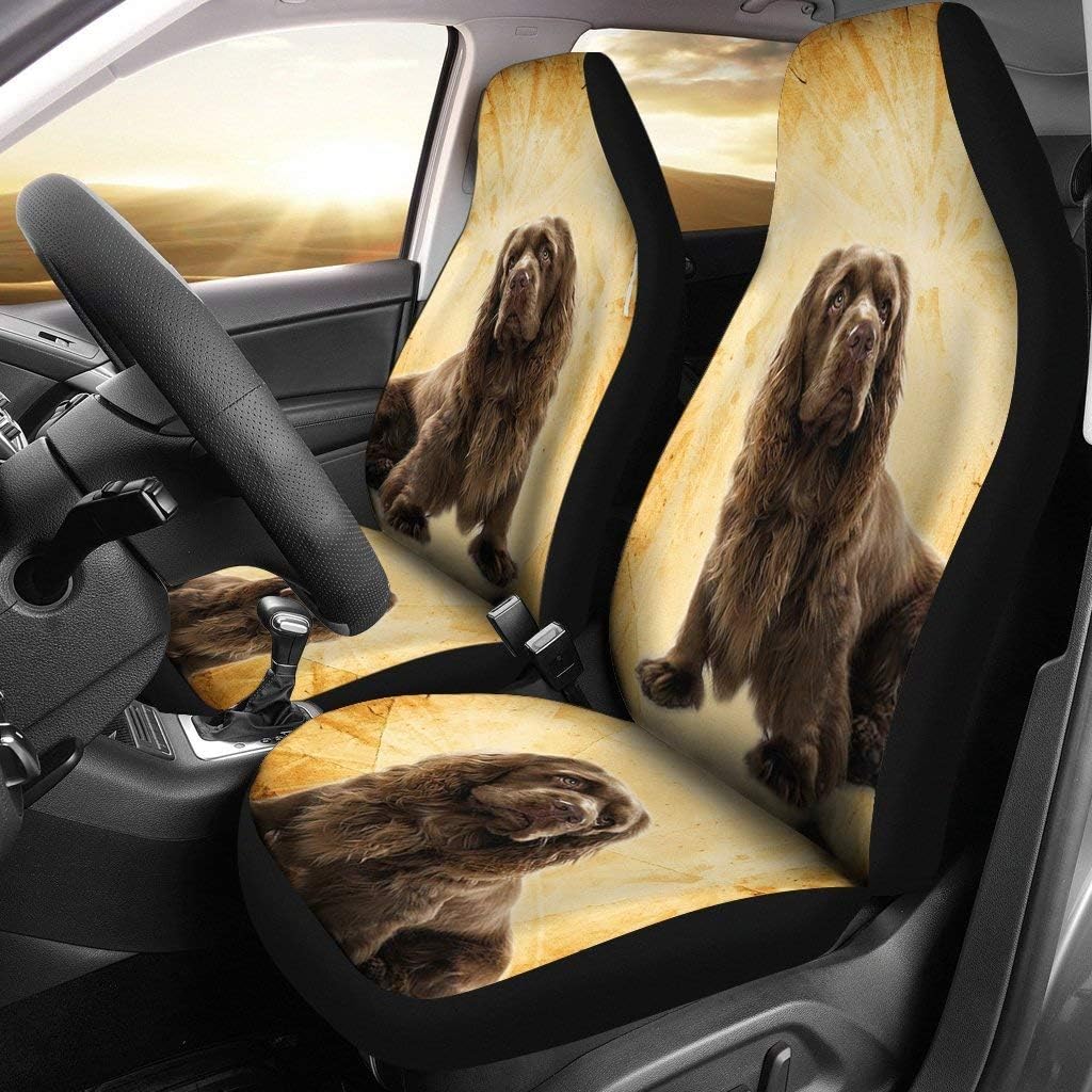 Sussex Spaniel Patterns Print Car Seat Covers