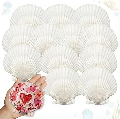 25 conchas de vieira grandes para manualidades de 3 a 5 pulgadas, conchas de vieira blancas grandes para manualidades, pintura, playa, boda,