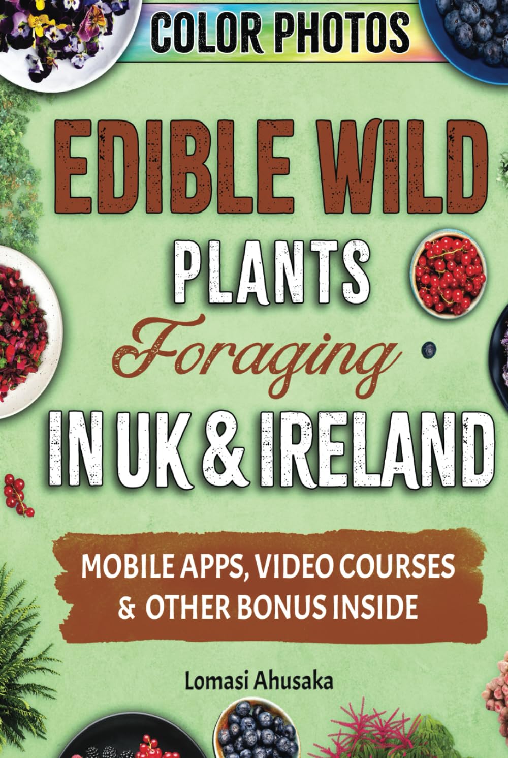 Edible Wild Plants Foraging in UK & Ireland: Learn How to Identify Safely and Harvest Nature's Green Gifts (Forager's Guides)