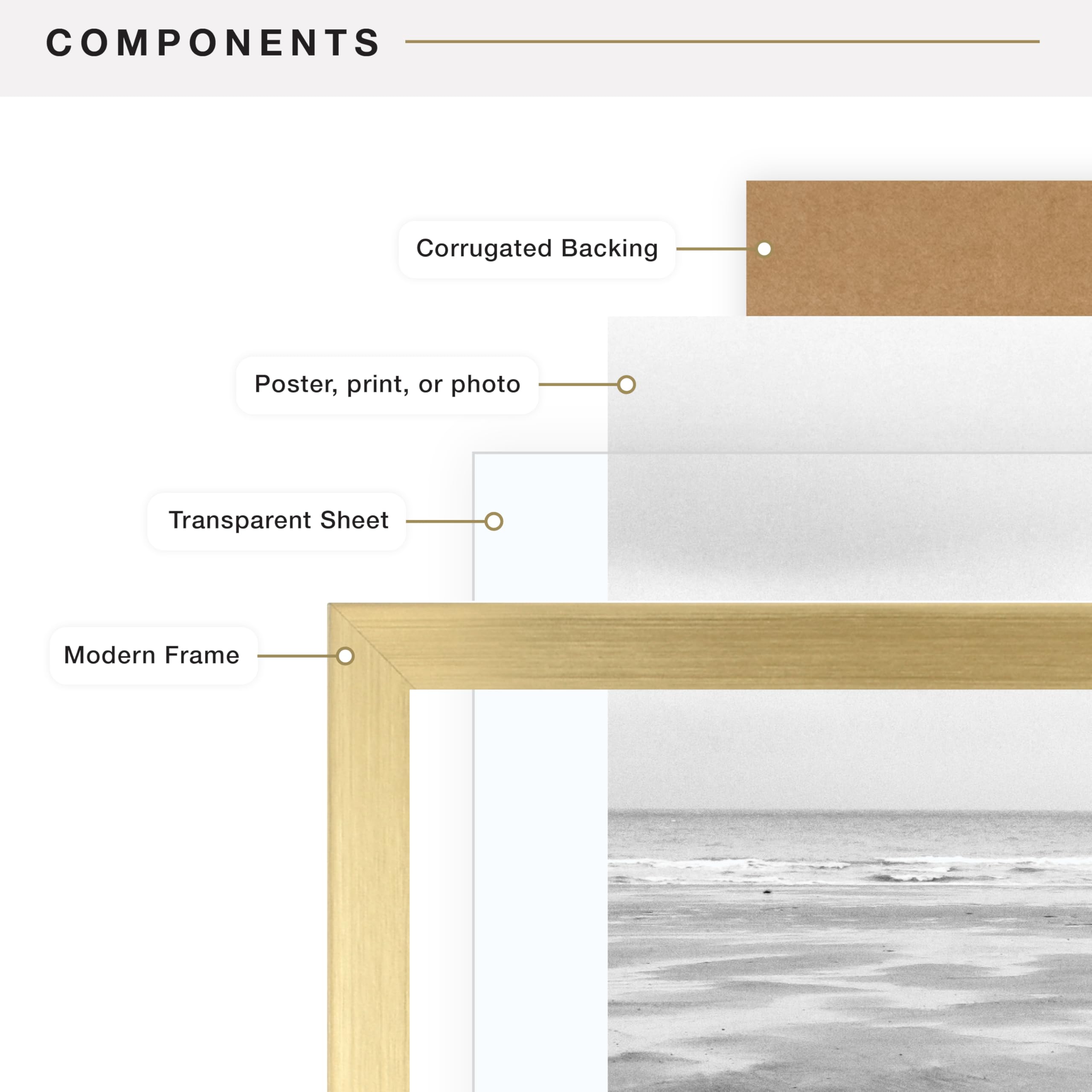 MCS, Brass Gallery Foundation - Cornice per poster, 40 x 50 cm, 40 x 50 cm