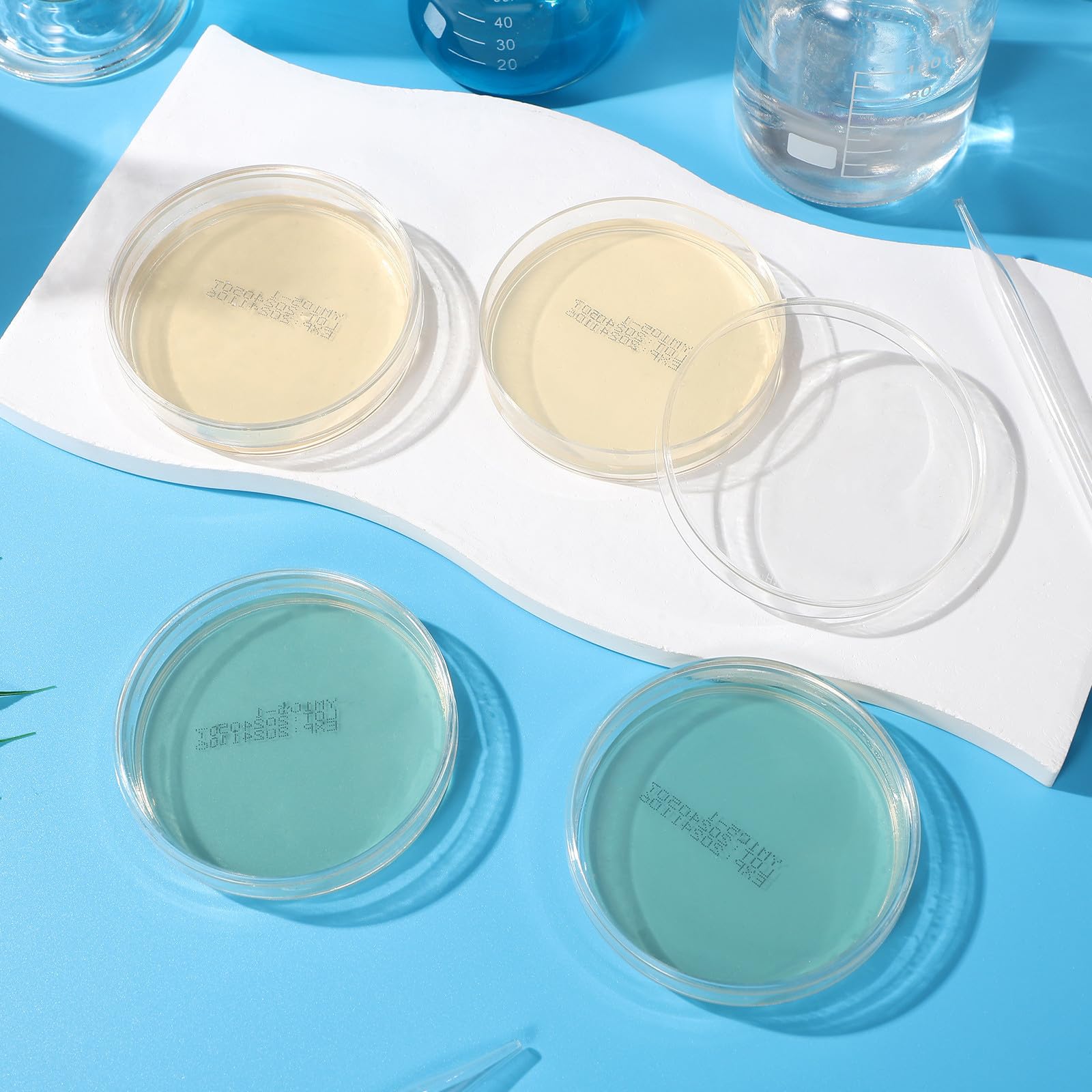 Boîtes de Petri Pré-remplies à Agar 7cm, Lot de 10