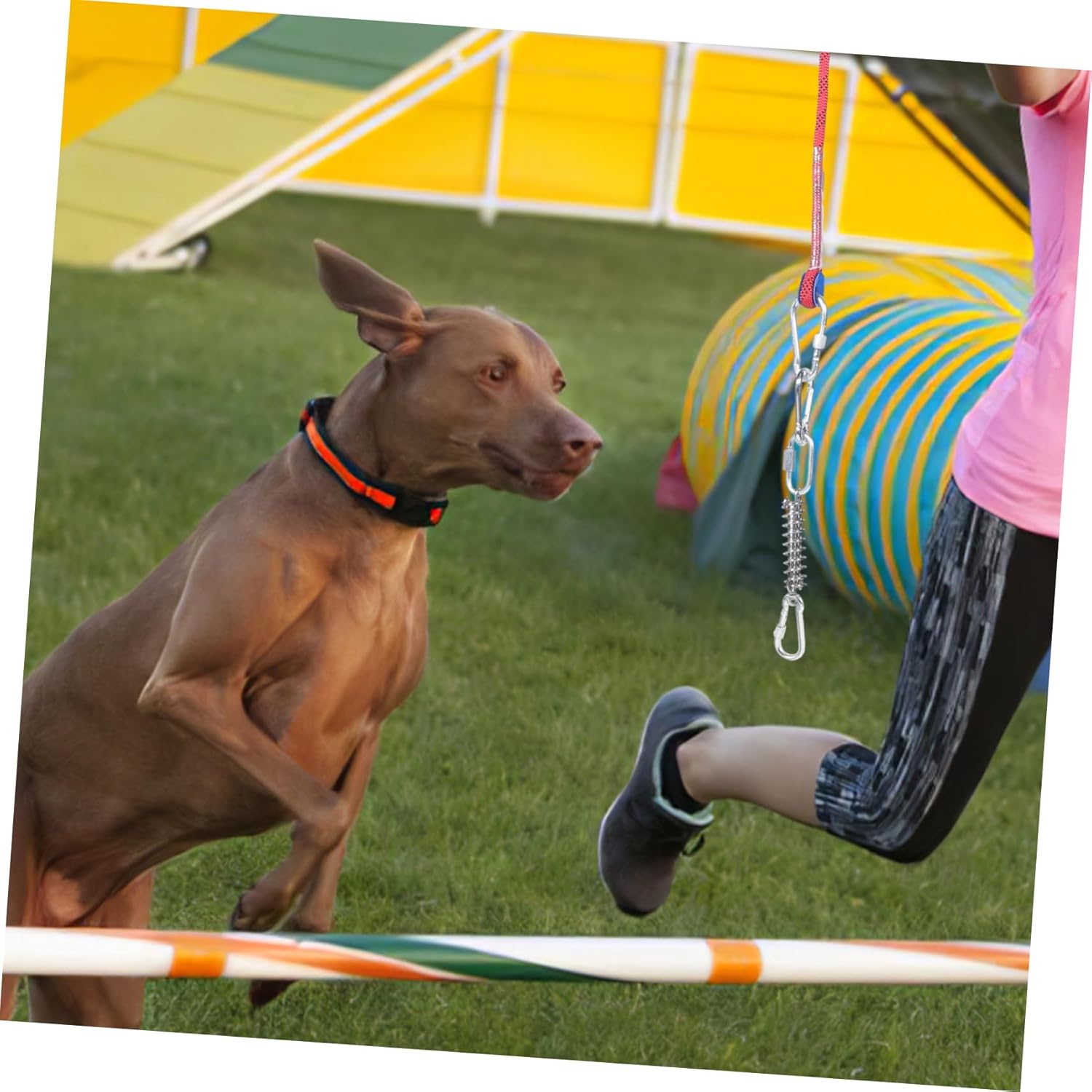 GALPADA Dog Tie Out Cable for Dogs Rope Leash for Outdoor Activities Safe Non-Slip Camping Training Leash