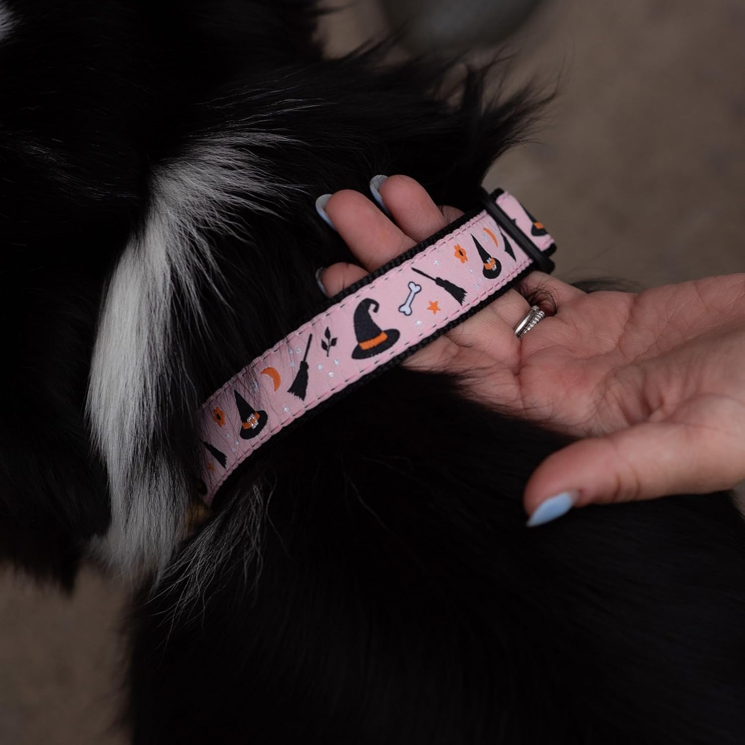 Up Country Witchy Pattern Dog Collar (Medium (12 to 18 Inches) 5/8 Inch Narrow Width)