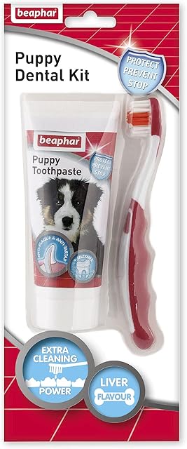 Beaphar | Toothbrush & Toothpaste Dental Care Kit for Puppies | Includes a Small-Headed Toothbrush and Liver-Flavoured Enzymatic Toothpaste, 100g Tube