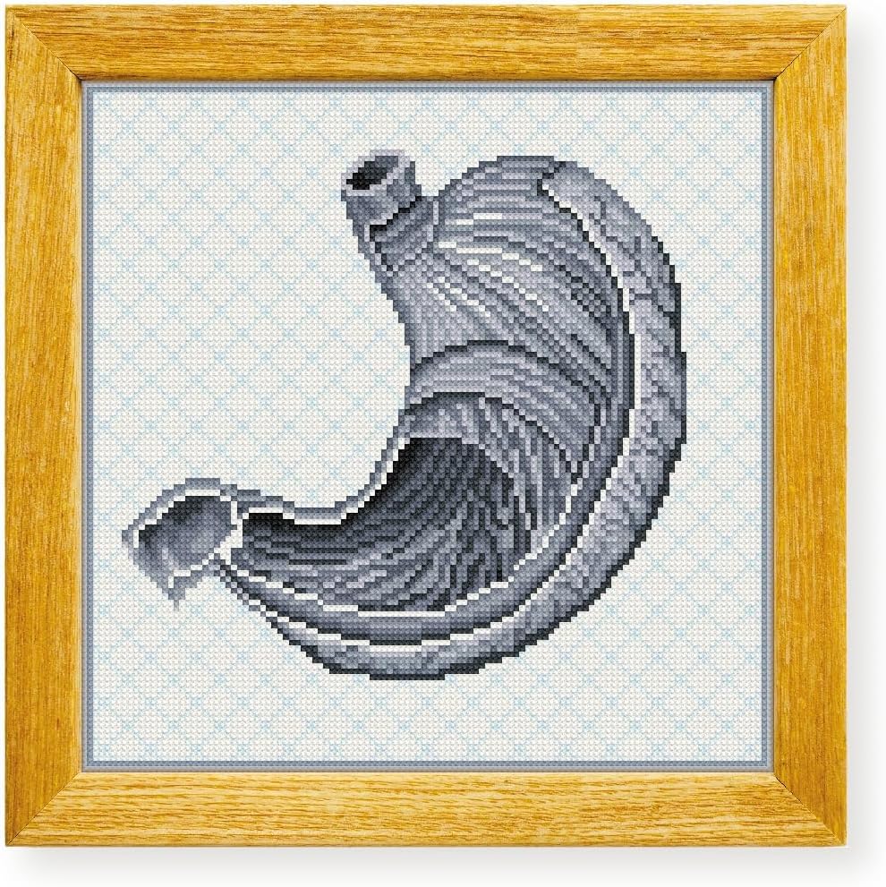 Awesome Pattern Studio Stomach The Human Anatomy DS2069, Diamond Painting Kit, Diamond Art Kits for Adults, Full Drill 5D Diamond Dots Kits. All Items Included.