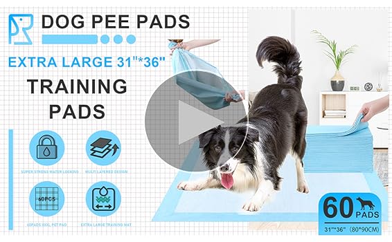 PaMeeru00ae Ultra Absorbent Quilted Puppy Training Pads - 100-Pack Of Dog