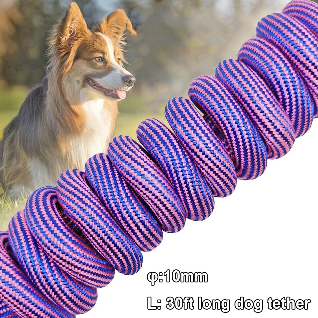 30ft Dog Tie Out + 30ft Long Dog Leash