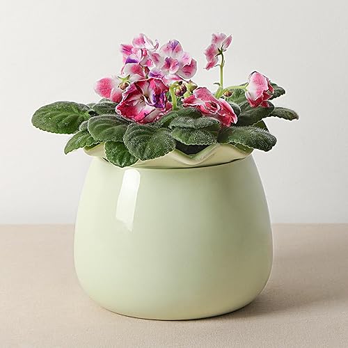 Miniatura 8 de Maceta de riego automático, mantenimiento de macetas de violeta africana de 6 pulgadas, maceta de cerámica con riego automático para plantas de