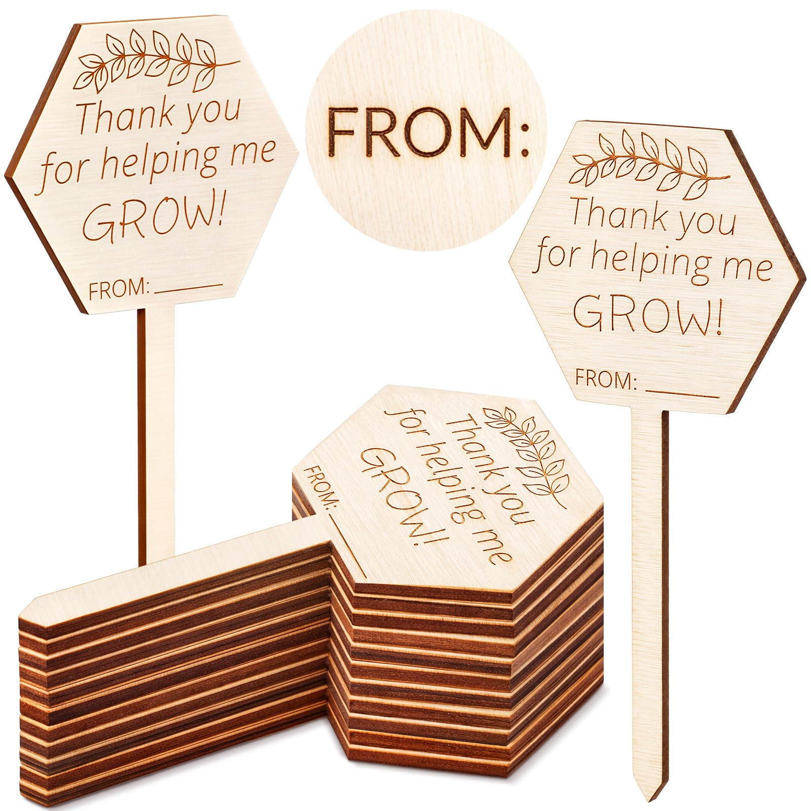 Photo 1 of Gerrii 50 Pcs Thank You for Helping Me Grow Hexagonal Plant Tags Stakes