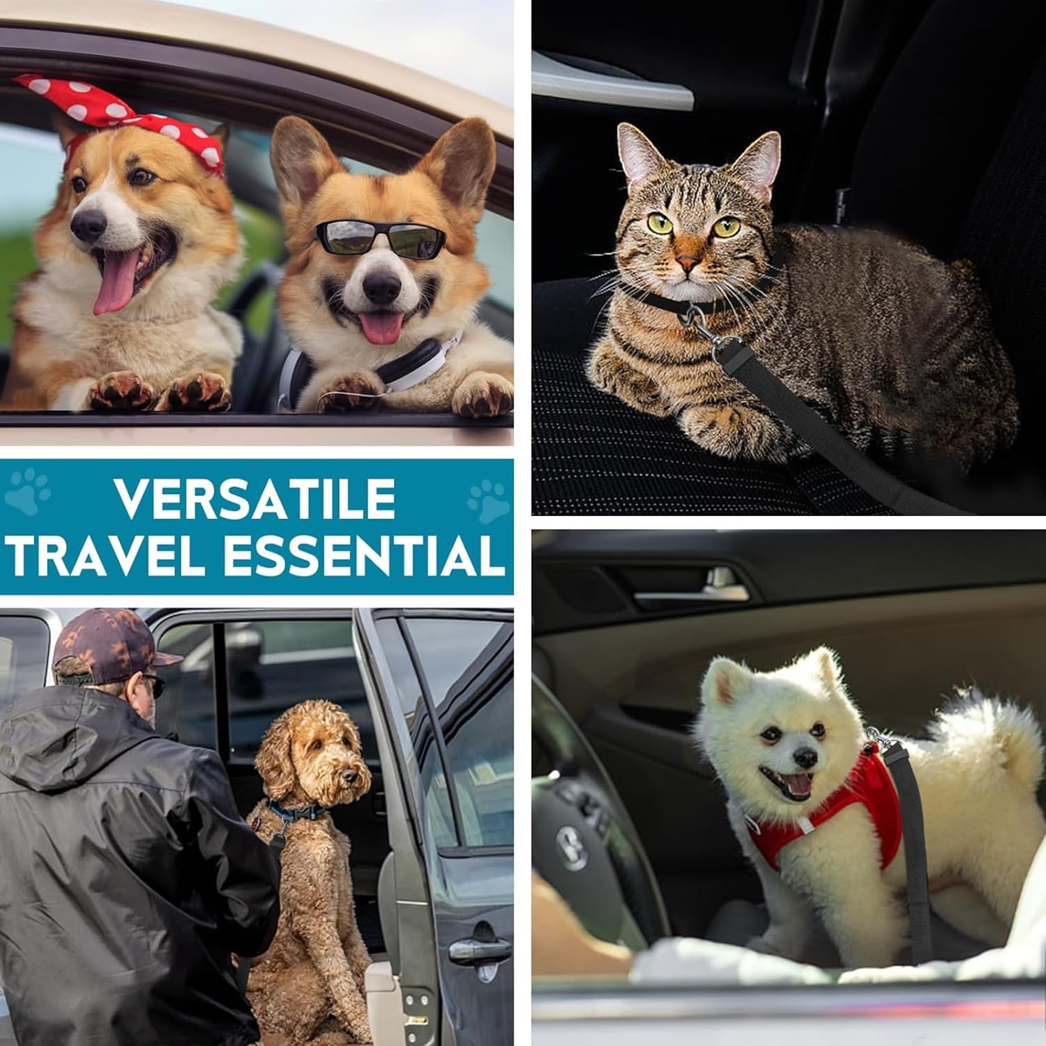 Cintura di sicurezza per cani auto, cintura di sicurezza per cani (2 pezzi) (01)