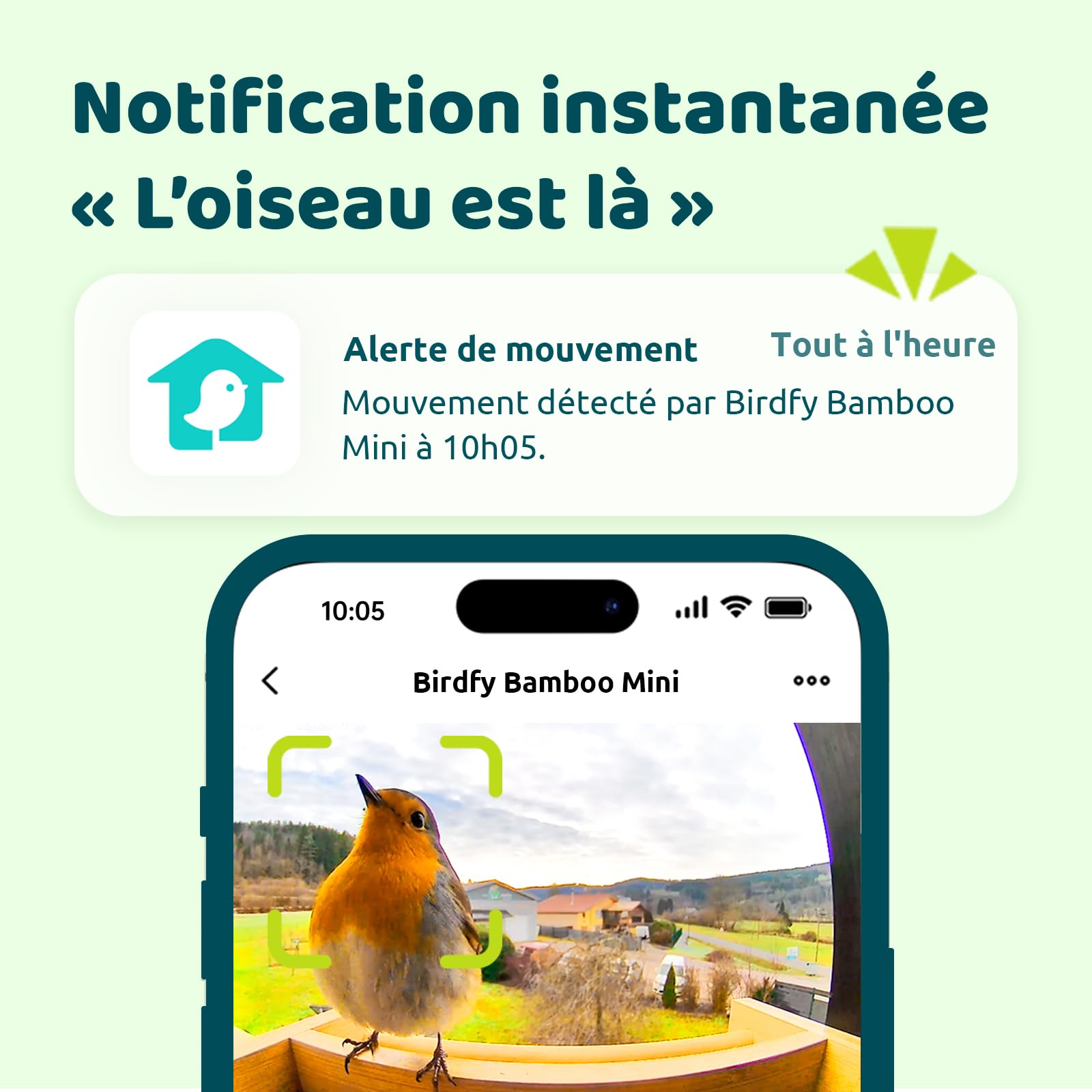 Netvue Birdfy Mangeoire Oiseaux Bambou Caméra Solaire Vision Nocturne Capture Auto Images Vidéos Notification