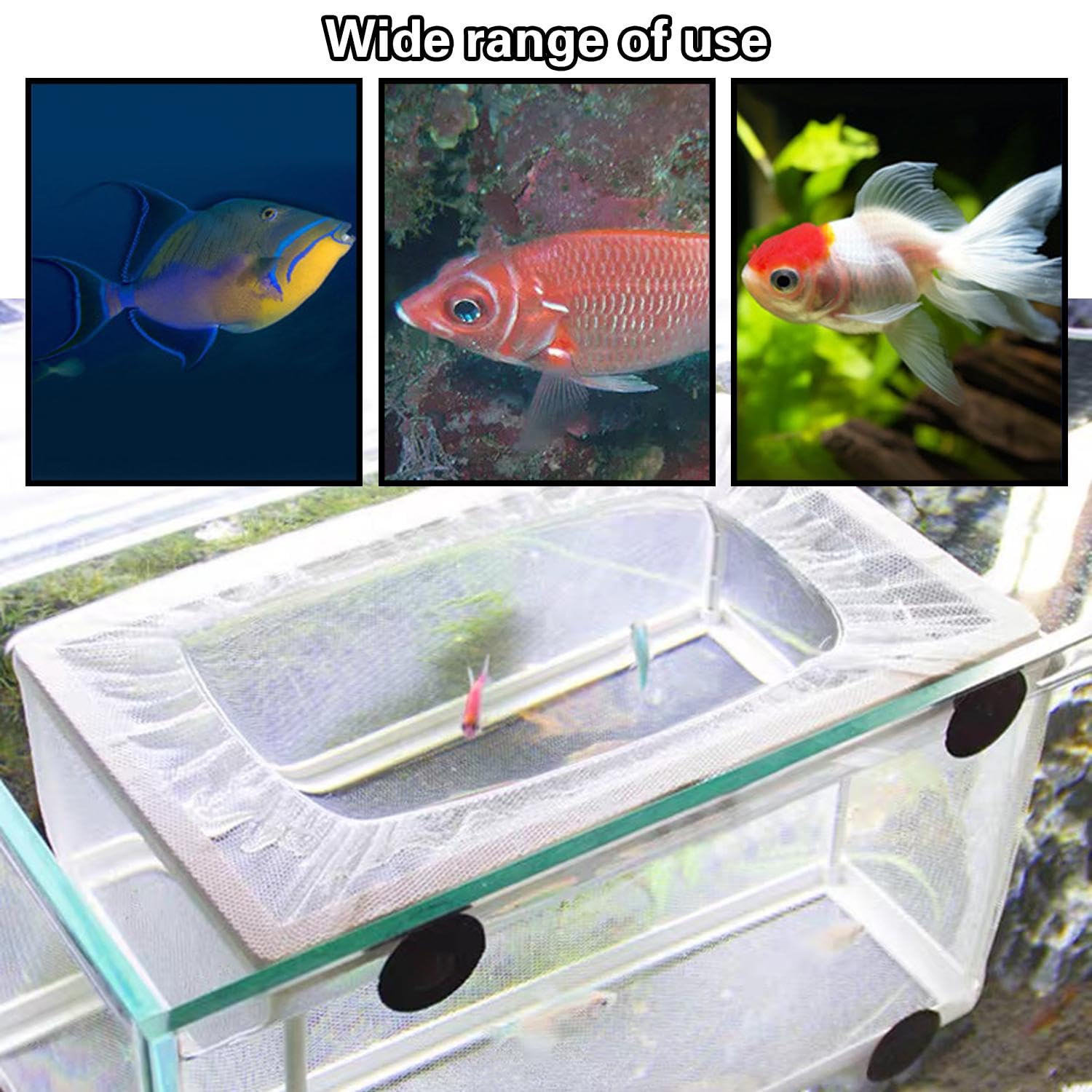 Rete Isolante per Serbatoi di Pesce e Scatola di Allevamento con Ventosa - Set da 2 per Acquario e Incubazione
