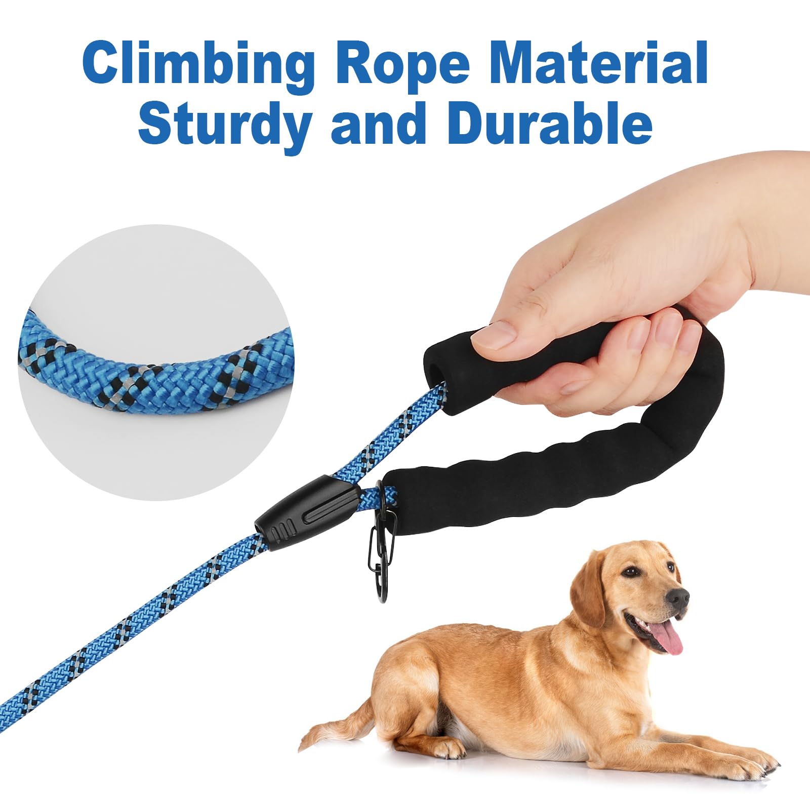 Guinzaglio per Cani Addestramento, 2m/3m/5m/10m/20m/30m Lungo Nylon Guinzaglio Cani Resistente Leggero con Impugnatura, Riflettente Lunghina Cane, Adatto per Tutti i Cani