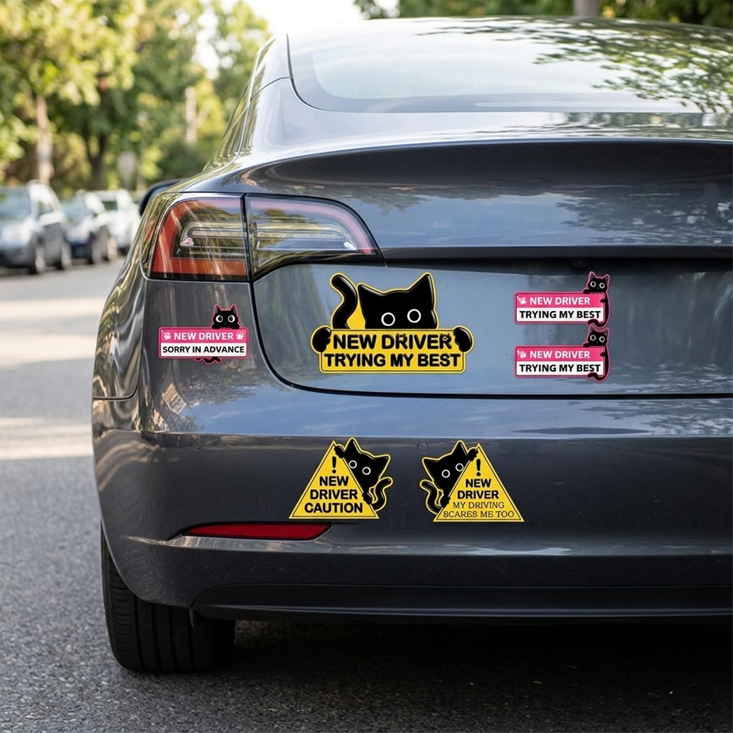 7-Pack New Student Driver Car Magnet - Magnetic Bumper Stickers Funny Black Cat Please Be Kind Signs for Truck Vehicles Decoration image 5