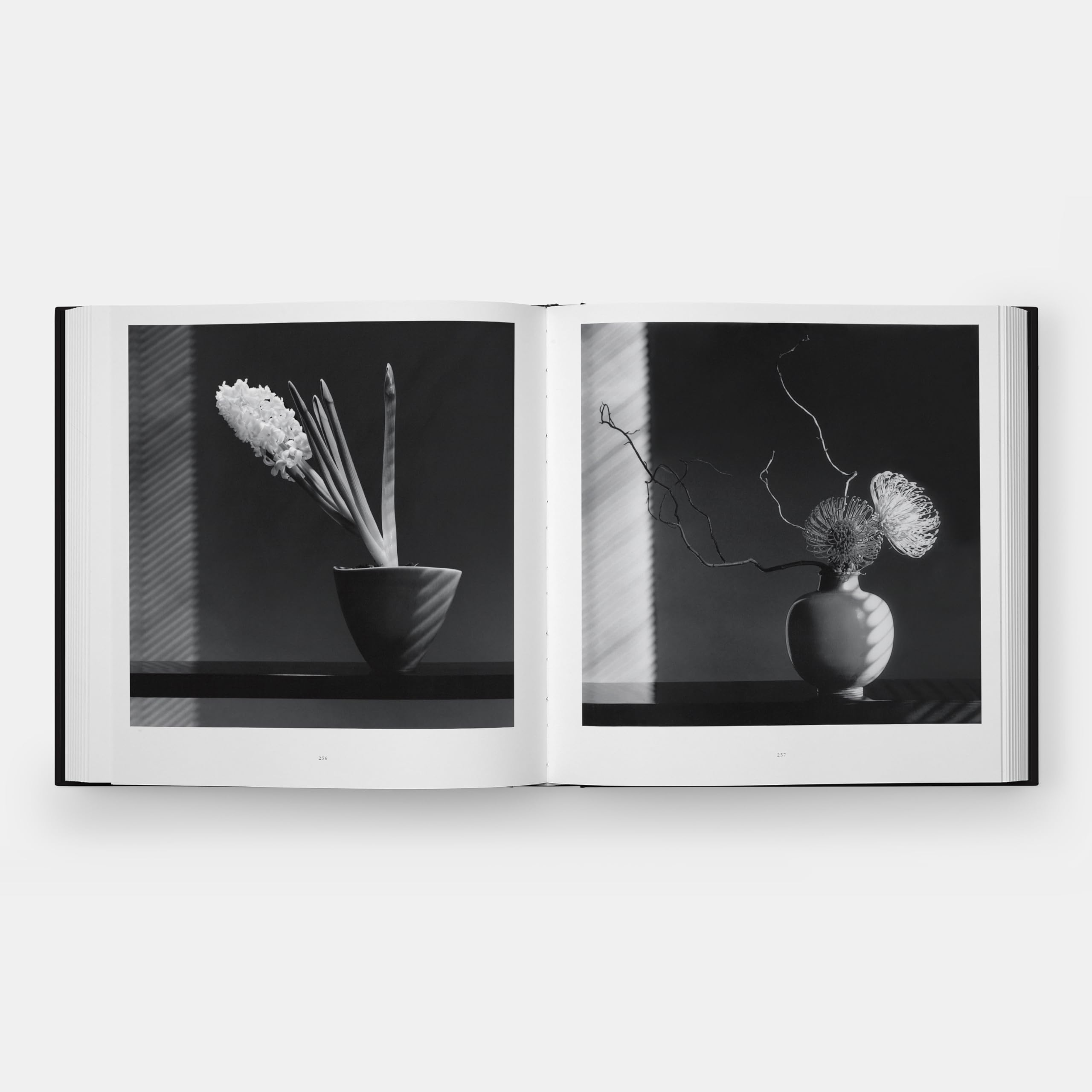 Flora: Les Fleurs de Mapplethorpe