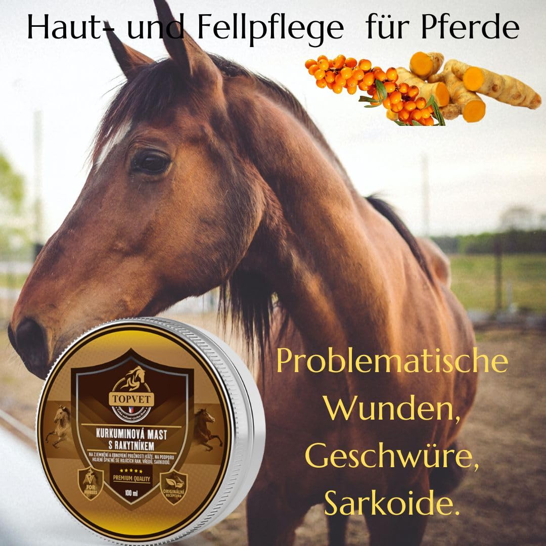 Kurkuma Salbe mit Sanddorn fr Pferde - Sarkoid Salbe Pferd - Hautproblemen  - Wundsalbe - schlecht heilende Wunden - NATURPRODUKT mit Bienenwachs -  Topvet 100 ml | Sarkoid Salbe, Wundsalbe fr schlecht
