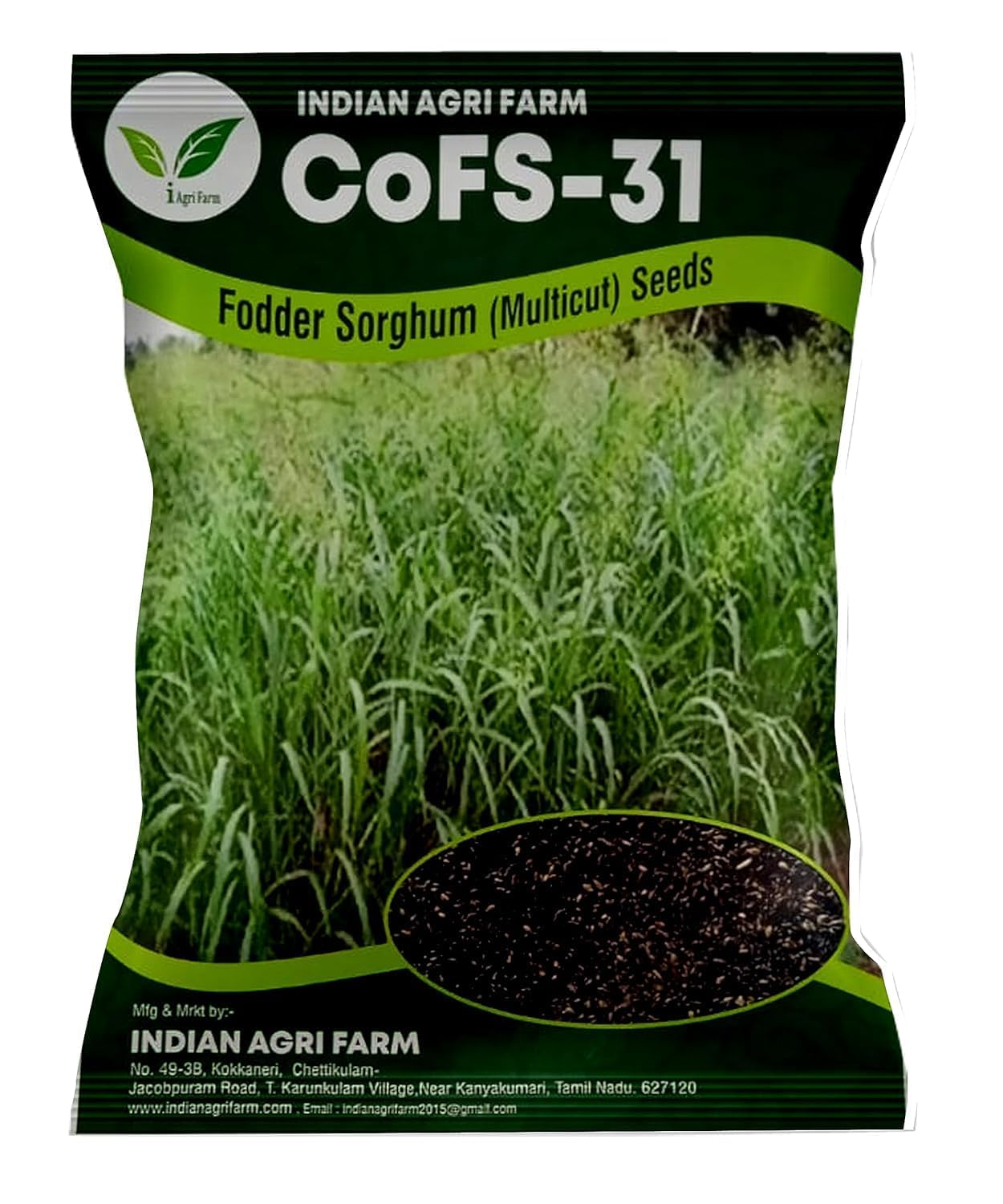 COFS31 / COFS-31 Fodder Sorghum Seed - 5 Kg - MultiCut for Fodder Cultivation-picture-23