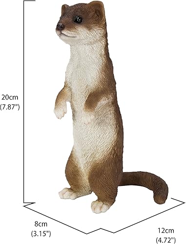 Miniatura 3 de Hi-Line Gift Ltd. Estatua de comadreja menor de pie, marrón y blanco