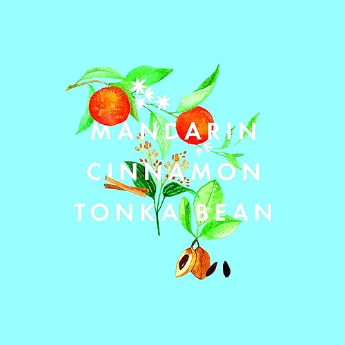 Miniatura 8 de NEOM - Vela perfumada de lujo Christmas Wish  Canela, Mandarina y Frijol Tonka  Regalo de Navidad... (1 mecha)