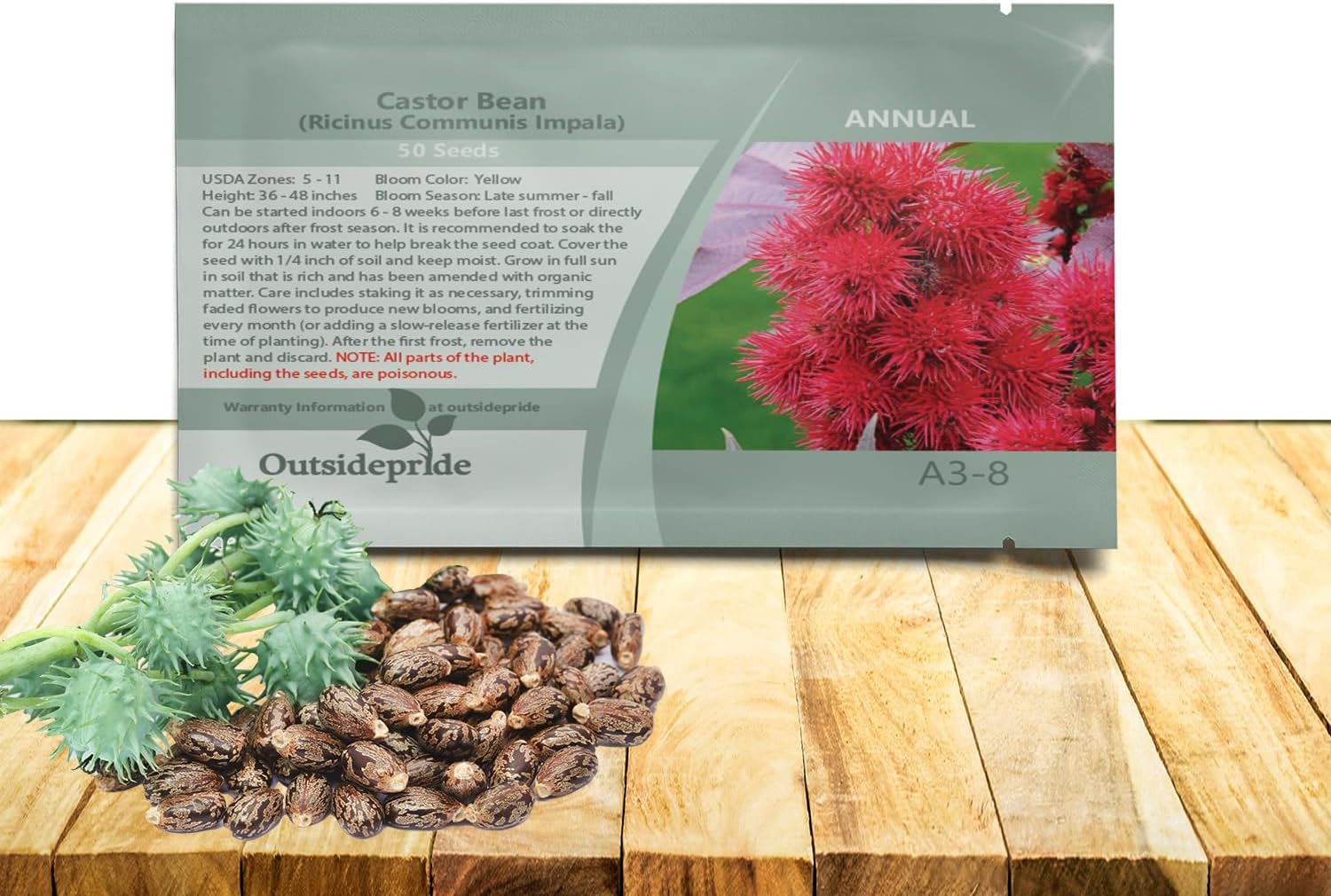 Outsidepride Impala Castor Bean Seeds - 50 Pcs. Annual Quick-Growing Tropical Flower Seeds for Planting Vibrant Foliage & Colorful Blooms for Eye-Catching Borders, Gardens & Landscapes