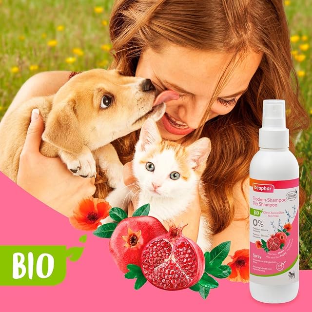 Foto 2 de 3 de beaphar 17750 Champú seco orgánico para Perros y Gatos, Cuidado Suave y Limpieza del Pelaje sin Agua, 200 ml
