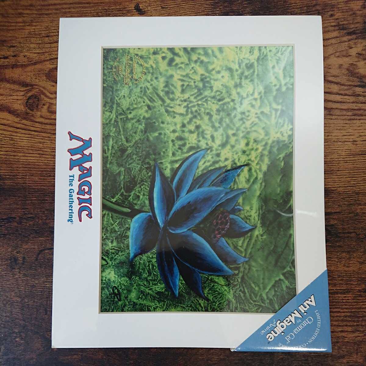 Amazon.co.jp: 稀少《Black Lotus》枚数限定アートプリント/複製原画