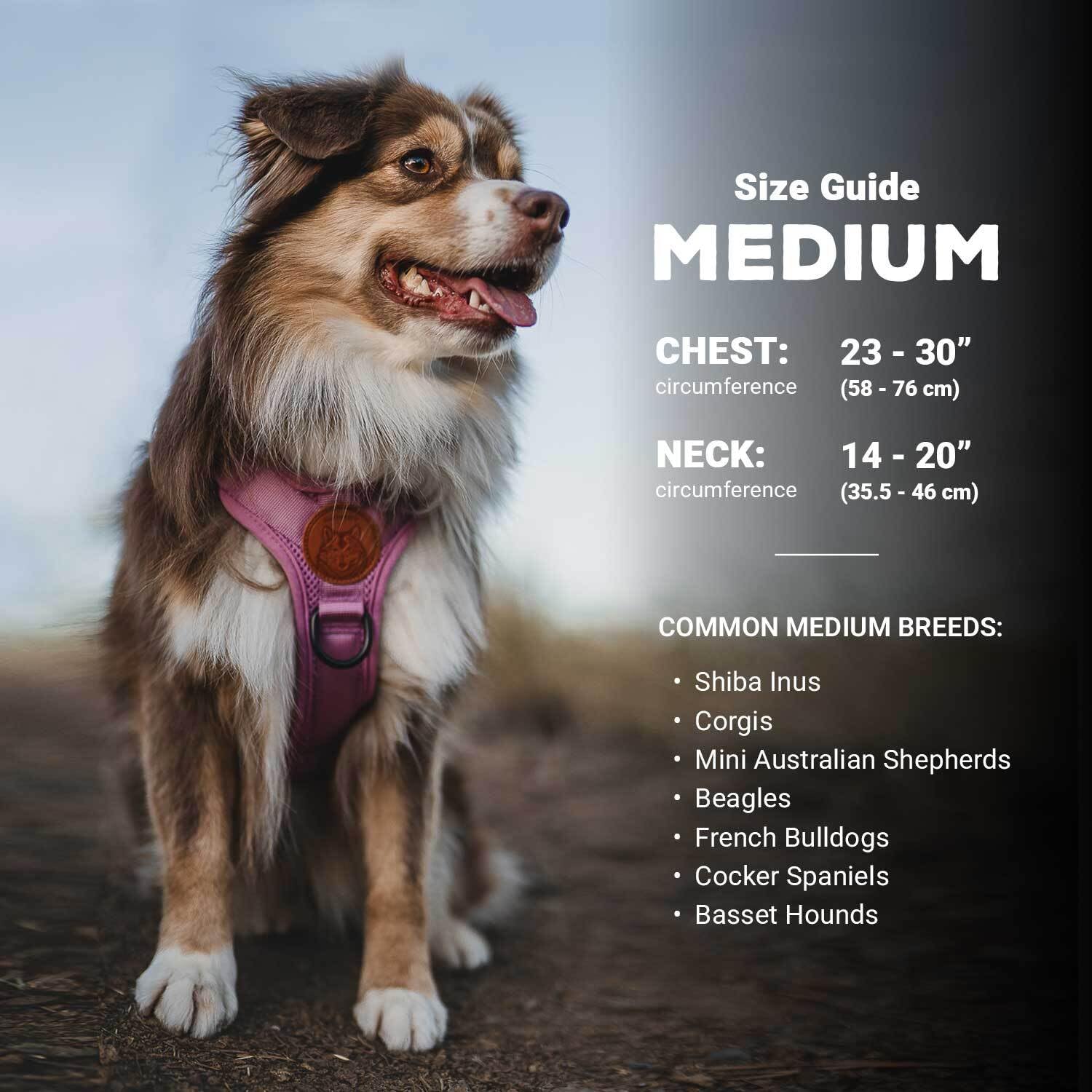 Wilderdog Lightweight Dog Harness with Reflective Straps - Medium - Huckleberry - image 3