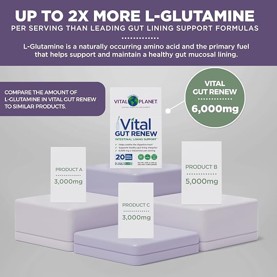Vital Planet - Vital Gut Renew Powder Supplement for Leaky Gut Repair with L-Glutamine, Marshmallow and Ginger Root, DGL Licorice Root and Organic Aloe Vera, 6000mg, 20 Single Serve Packs