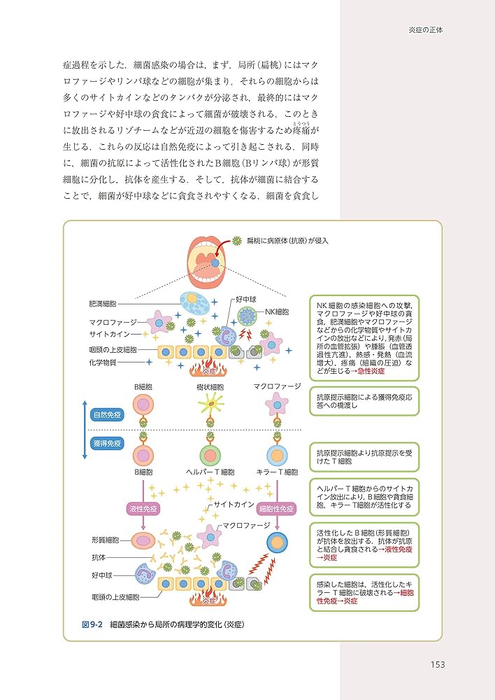 なるほどなっとく!病理学 plus: 病態形成の機序と各器官の疾病の