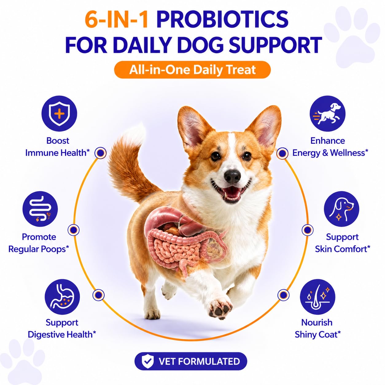 PETSAPIENS Pre + Probiotic Supplement for Dogs(240gm) | 10B CFU | Boosts Gut Health & Immunity | Gluten-Free | Vet Formulated | Prevents Scratching, Paw-Licking & Indigestion | Chicken Flavour — Amazon image 3