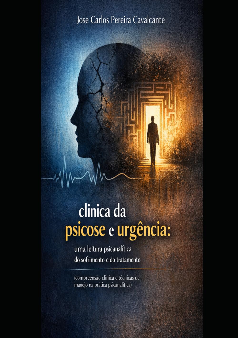 Clínica da Psicose e Urgência: Uma leitura psicanalítica do sofrimento e do tratamento: (Compreensão clínica e técnicas de manejo na prática psicanalítica)