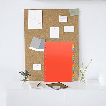 Amazon | 仕切りカード インデックス シート ファイルアクセサリー a4