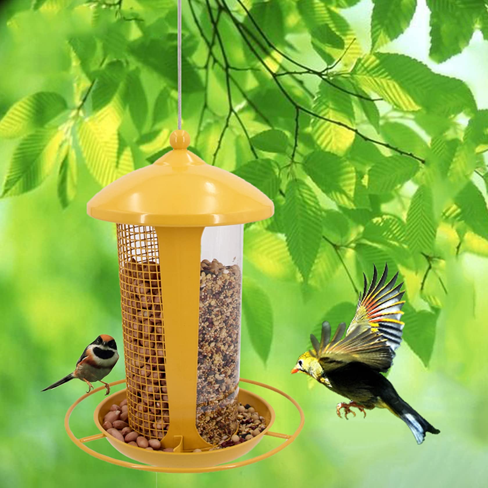 Amazon.co.jp: 鳥の餌箱、屋外の自動野鳥の餌箱、パノラマガゼボ鳥の餌
