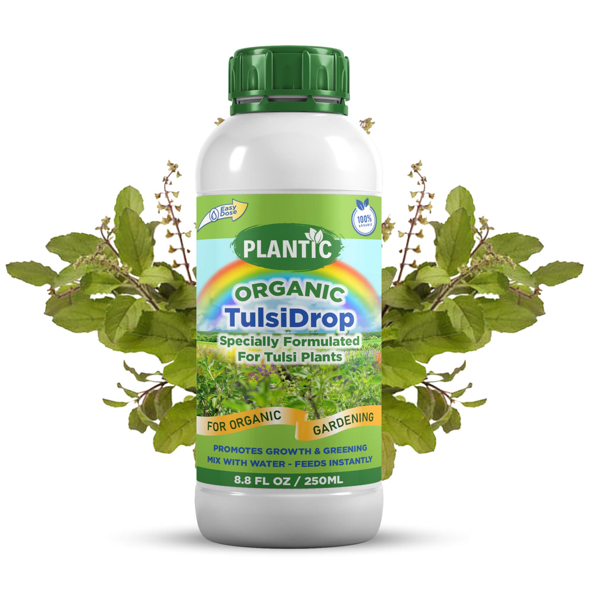 PLANTIC TulsiDrop Tulsi Liquid Fertilizer (Organic Fertilizer for Tulsi Plants | Holy Basil Plants) - 250 ml (B091GMMTKW) Amazon Price History, Amazon Price Tracker