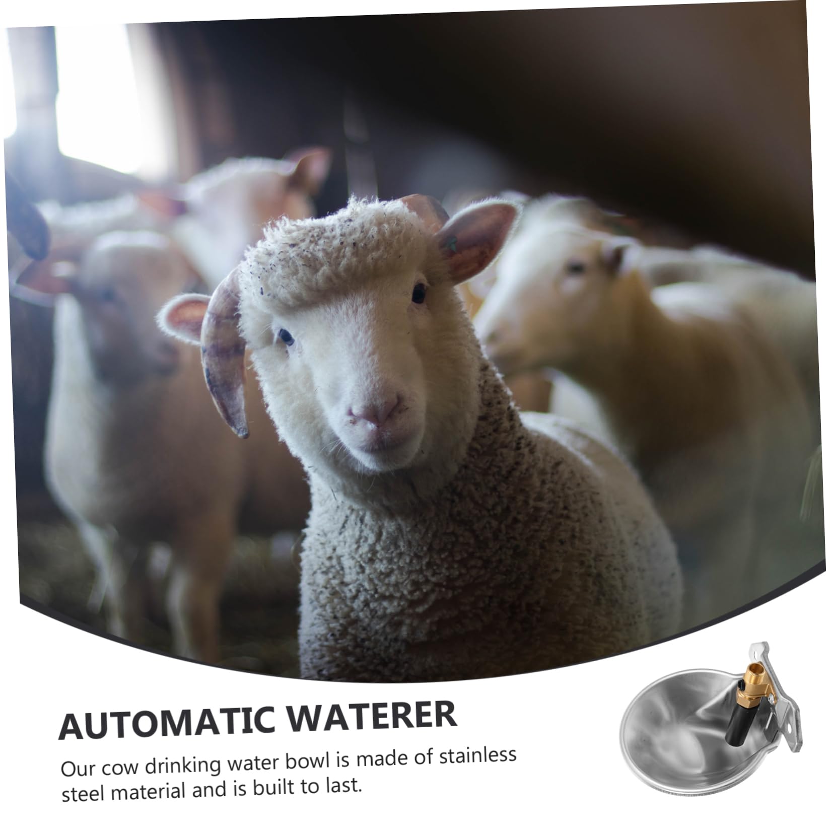 Bebedero Automático para Ovejas y Vacas de Granja, Capacidad Grande, Acero Inoxidable Superficie Lisa y Borde Redondo para Uso en Granja
