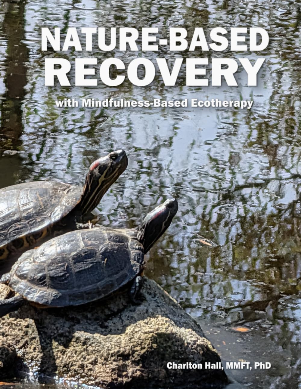 Nature-Based Recovery: with Mindfulness-Based Ecotherapy