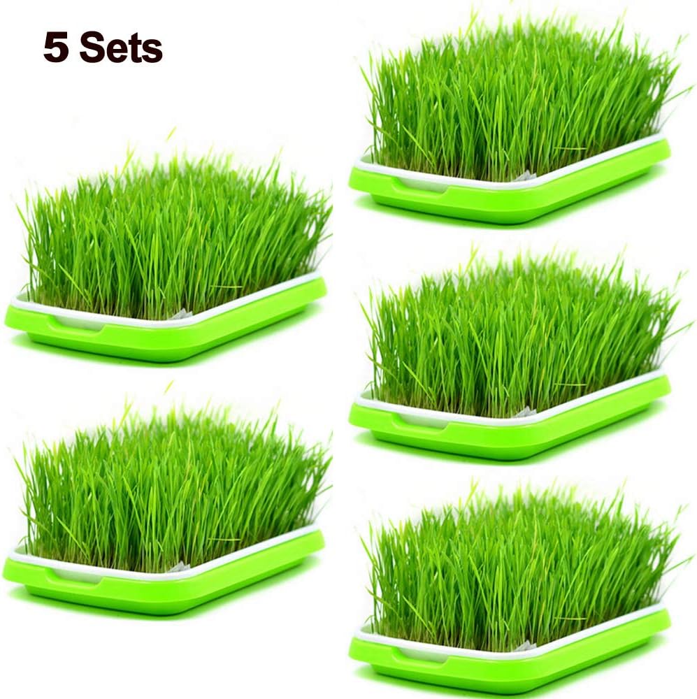 Seed Sprouter Trays 5 Sets Soil-Free Food Grad PP Healthy Wheatgrass Grower 9.84x13.4x1.77inch