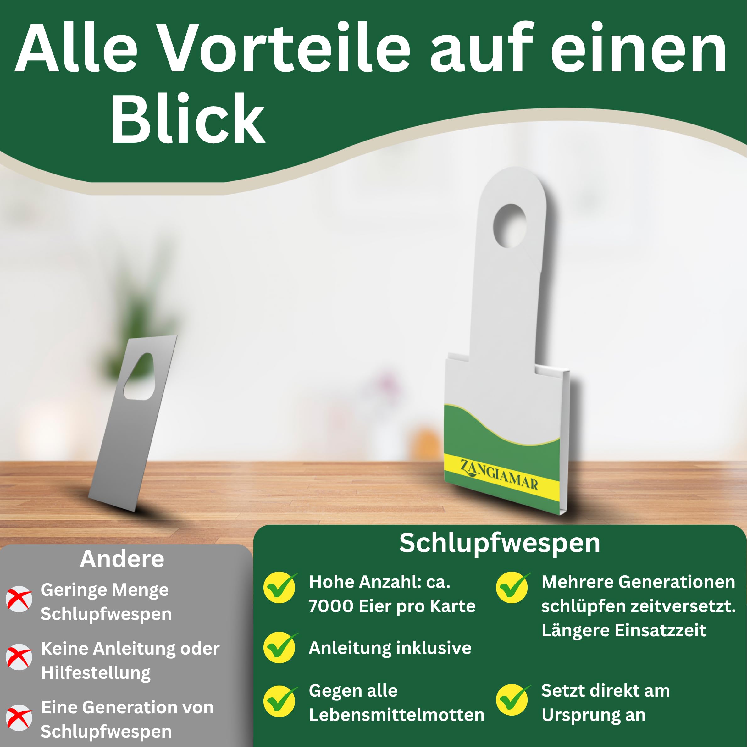 Schlupfwespen gegen Lebensmittelmotten, XXL Menge, je 7000 Eier, 20 Karten | Schütze, was dir wichtig ist - frei von Motten und Sorgen. | Nur für kurze Zeit: 10 % Rabatt-Coupon