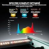 MARS HYDRO Smart FC3000 Lampe de culture LED 300W, Samsung LM301H EVO, lampes de croissance horticoles à spectre complet pour culture indoor, couverture 100 x 100cm - 2