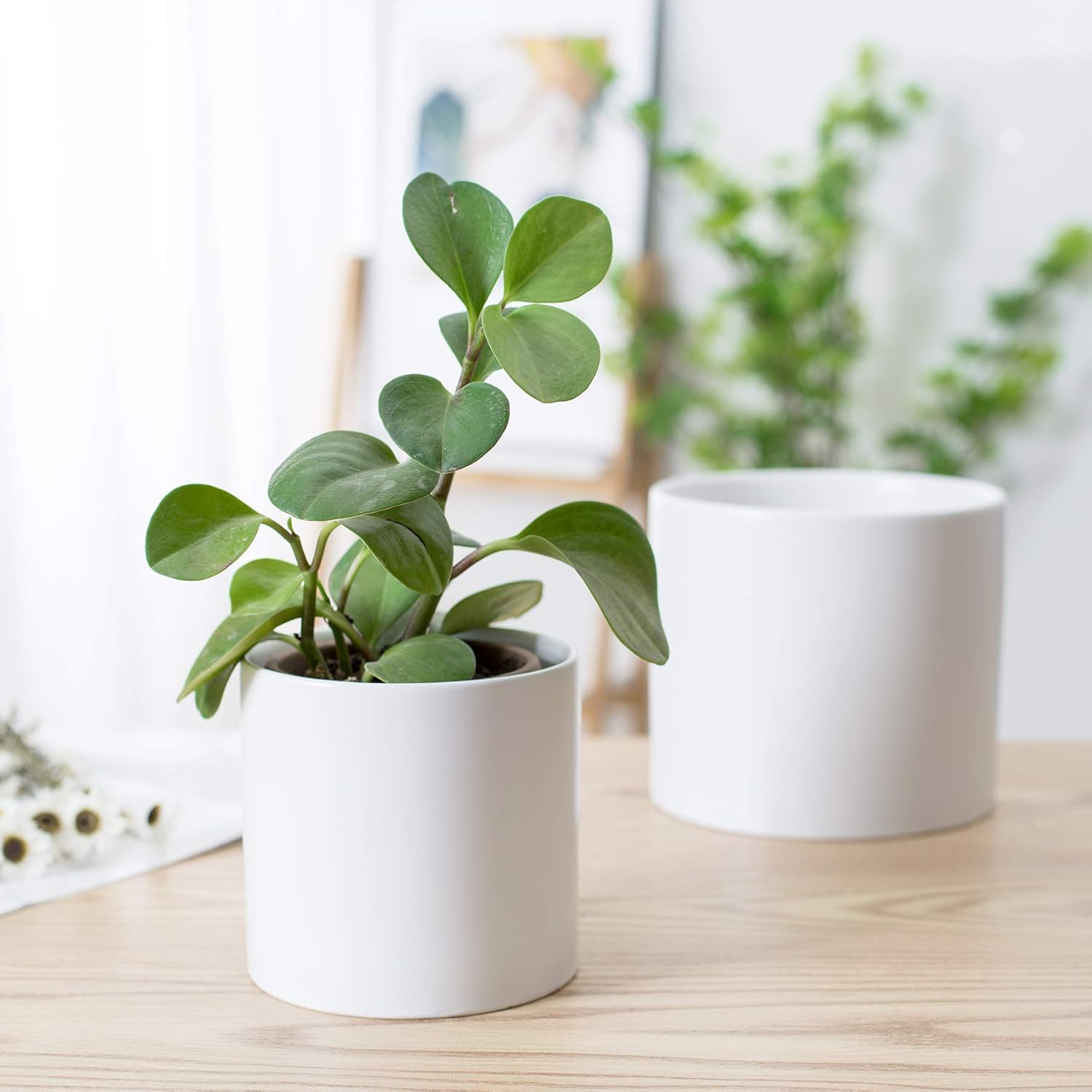 Nihow Flower Pot - 5 & 7 Inch Ceramic Planter Pots for Indoor Plants - Sturdy & Mordern Cylinder Plant Pot with Drainage & Removeable Rubber Plugs - Matte White (Set of 2) - Plants Not Included