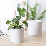 Nihow Pot de fleurs - 5 & 7 Pots en céramique de pouce pour les plantes intérieures - Sturdy & Cylindre de fusion pot avec drainage & Bouchons en caoutchouc amovibles - Blanc mat (ensemble de 2) - Plantes non comprises