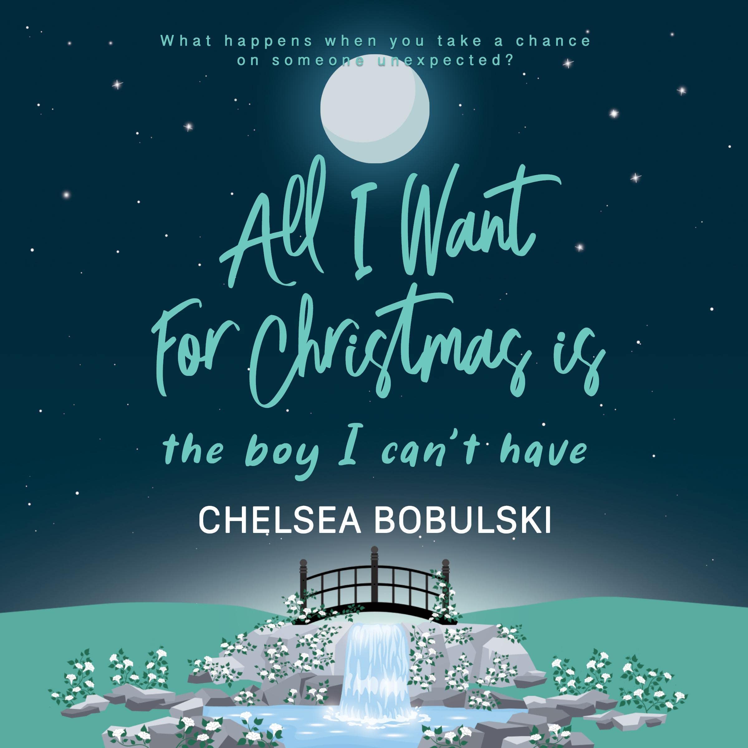 Cover art for All I Want for Christmas Is the Boy I Can't Have